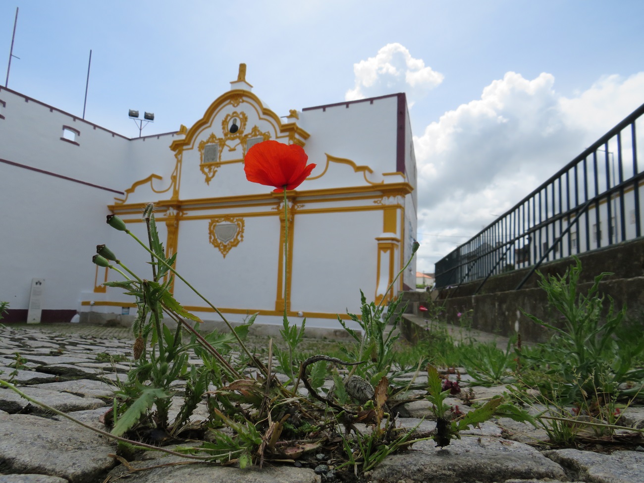 Chafariz-dos-Bonecos-Flor