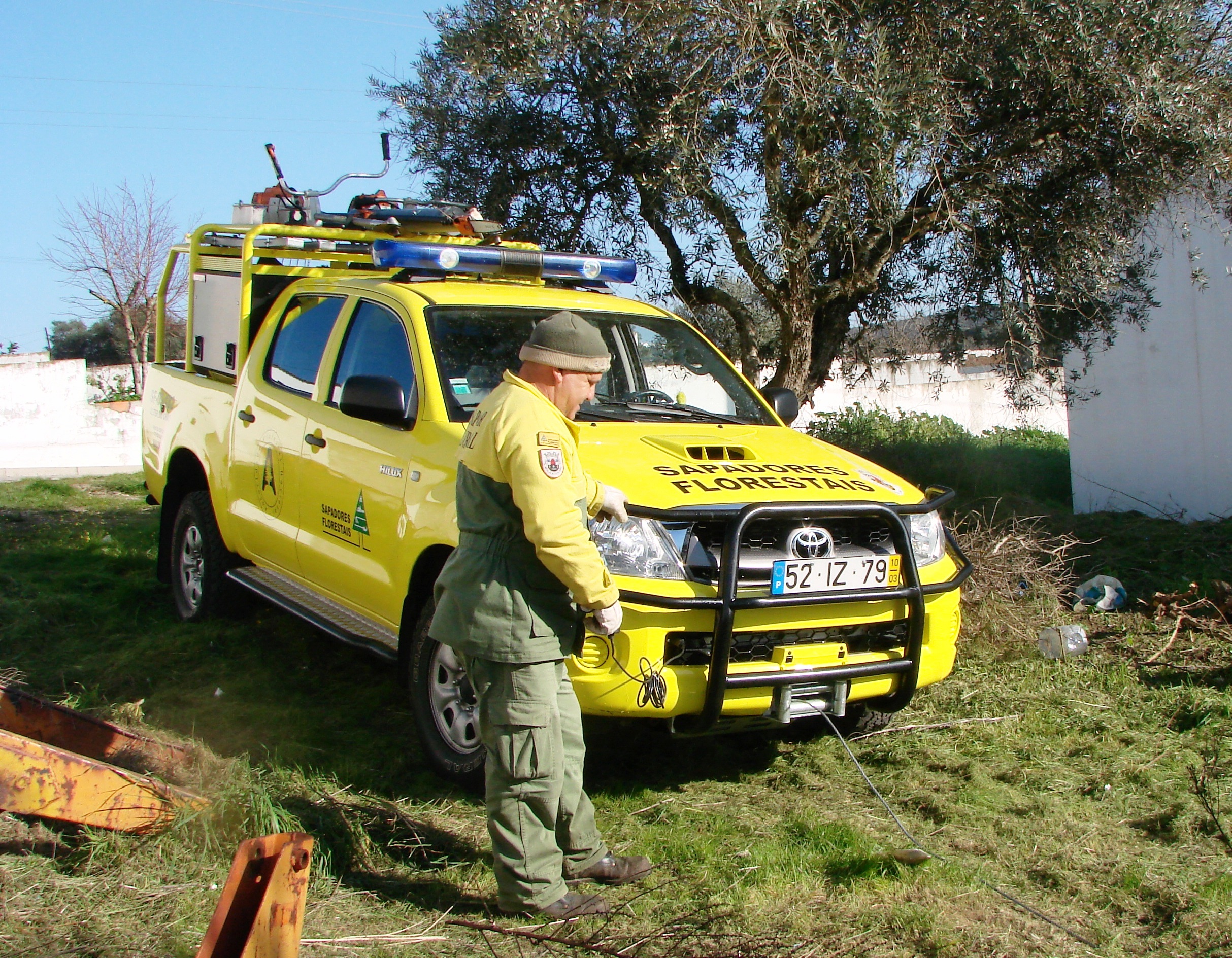 Sap-Florestais-1