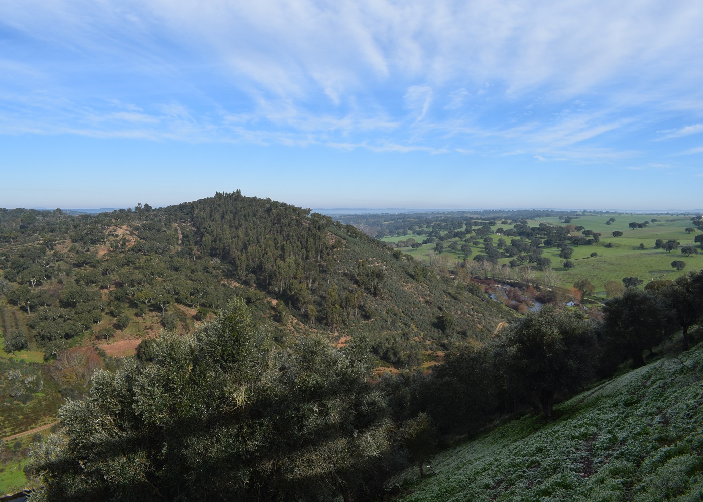 Seda Paisagem