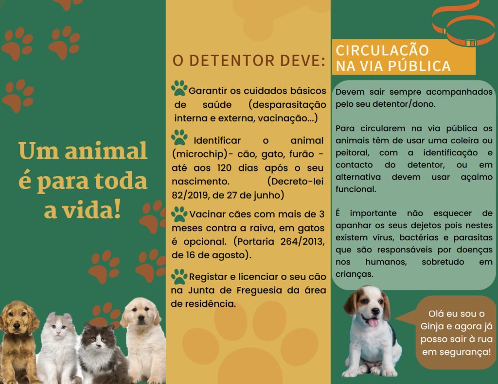 flyer-adocao01